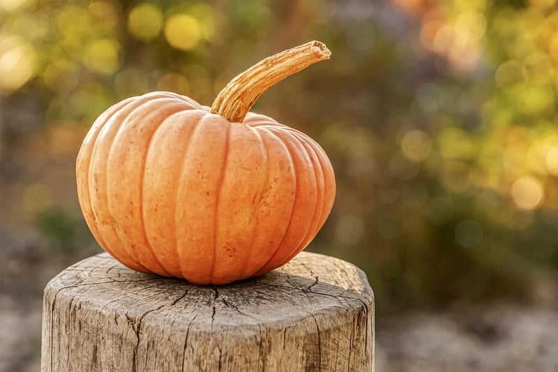 Seasonal Harvest Offerings